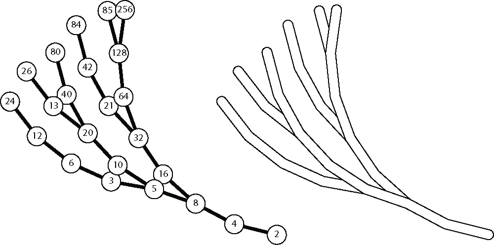 A few Collatz paths drawn as thin branching lines, turning left and right as numbers halve or triple