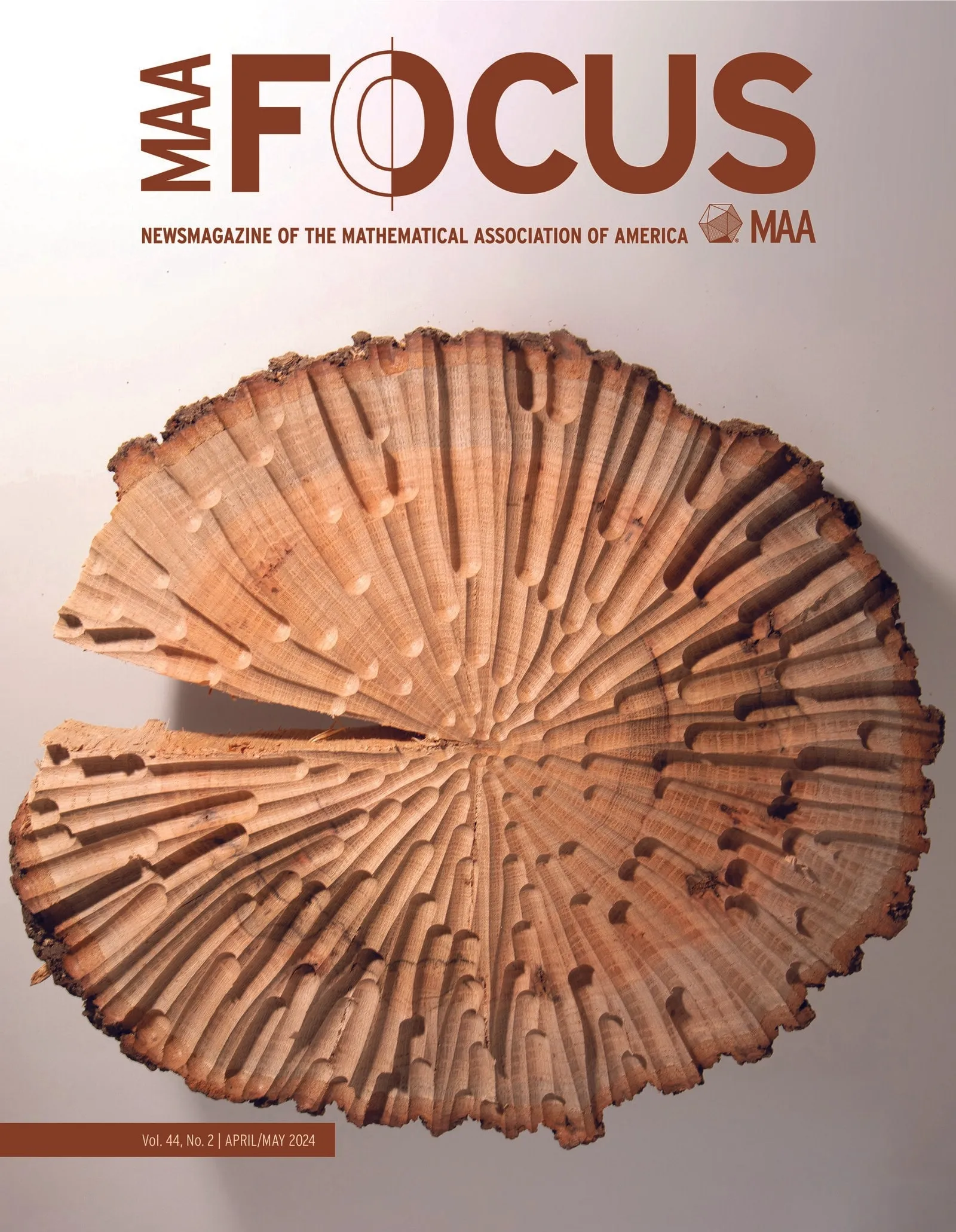 MAA Focus Vol. 44, No. 2 (April/May 2024),  Gradient of Grain on the cover