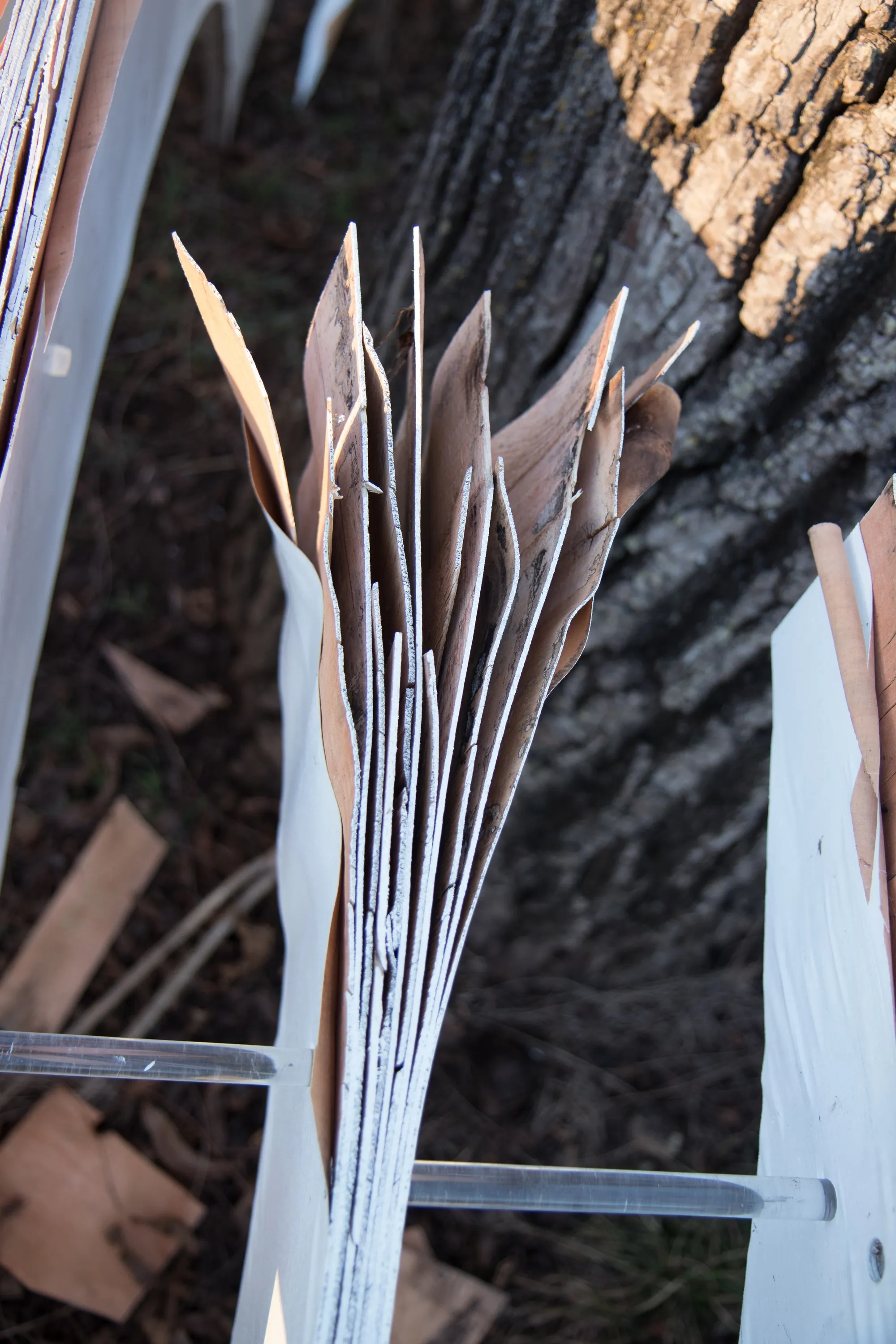 Close-up detail of delaminated plywood slats,  the CNC-cut geometry slowly returning to material