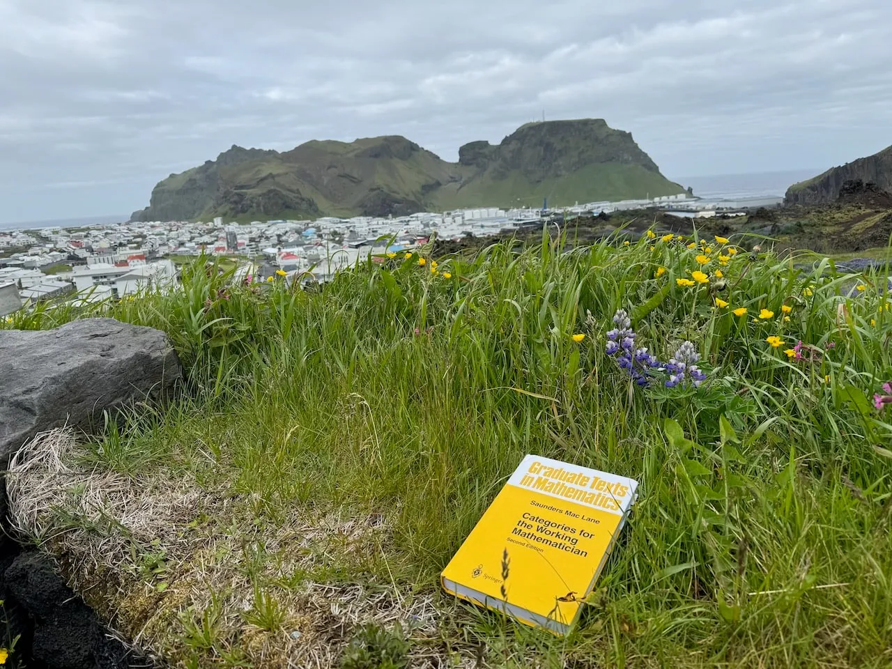 The book lying in a meadow of wildflowers and lupins on Heimaey in the Westman Islands, the town and green volcanic hills below