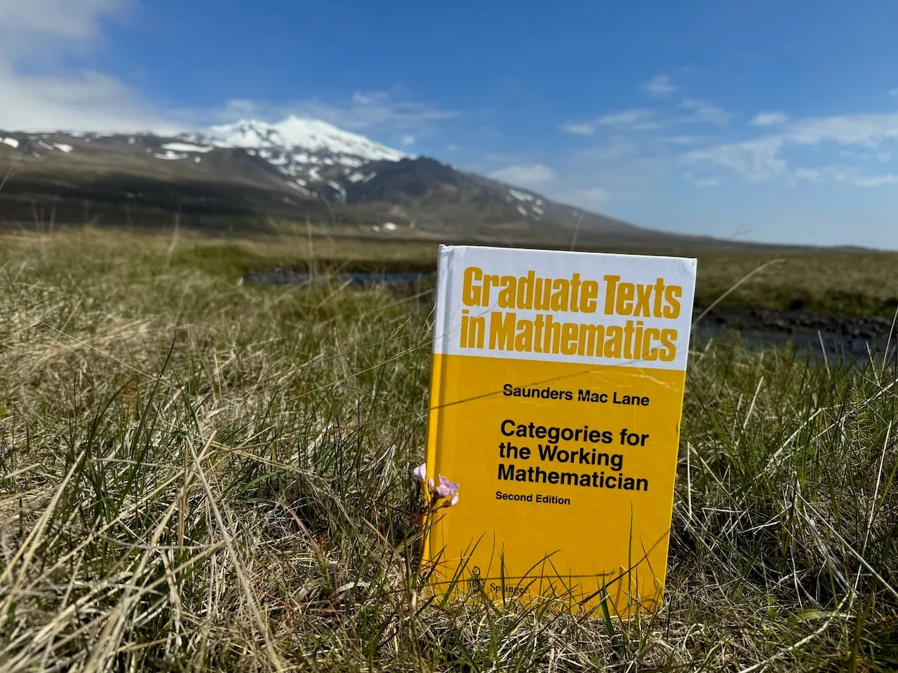 The book low in coastal grass with a tiny pink flower beside it, the white summit of Snæfellsjökull beyond under a bright blue sky